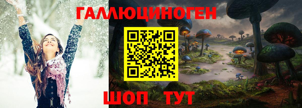 Екатеринбург  Псилоцибиновые грибы GOLDEN TEACHER  Псилоцибиновые грибы ЛСД  купить наркоту  Вход с VPN 
